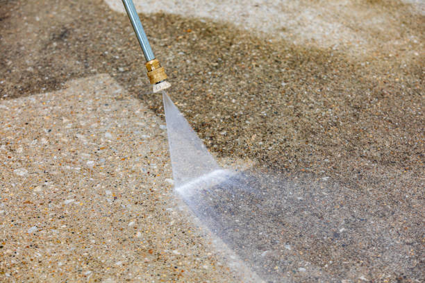 Animal Enclosure Cleaning in South Dennis, NJ